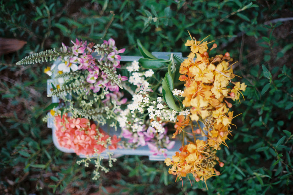 Tiêu bản hoa khô là một hình thức bảo quản và trưng bày hoa, giúp lưu giữ vẻ đẹp tự nhiên của hoa qua thời gian.